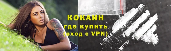 кокс Ростов