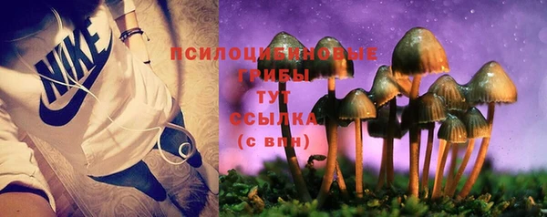 кокс Ростов