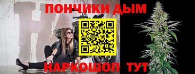 сатива Заволжье