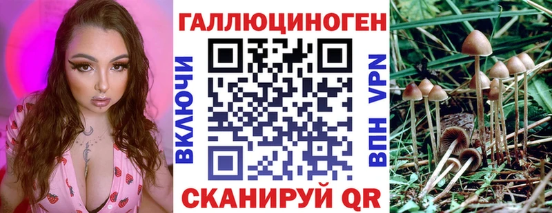 Псилоцибиновые грибы Psilocybine cubensis  блэк спрут онион  Тавда 