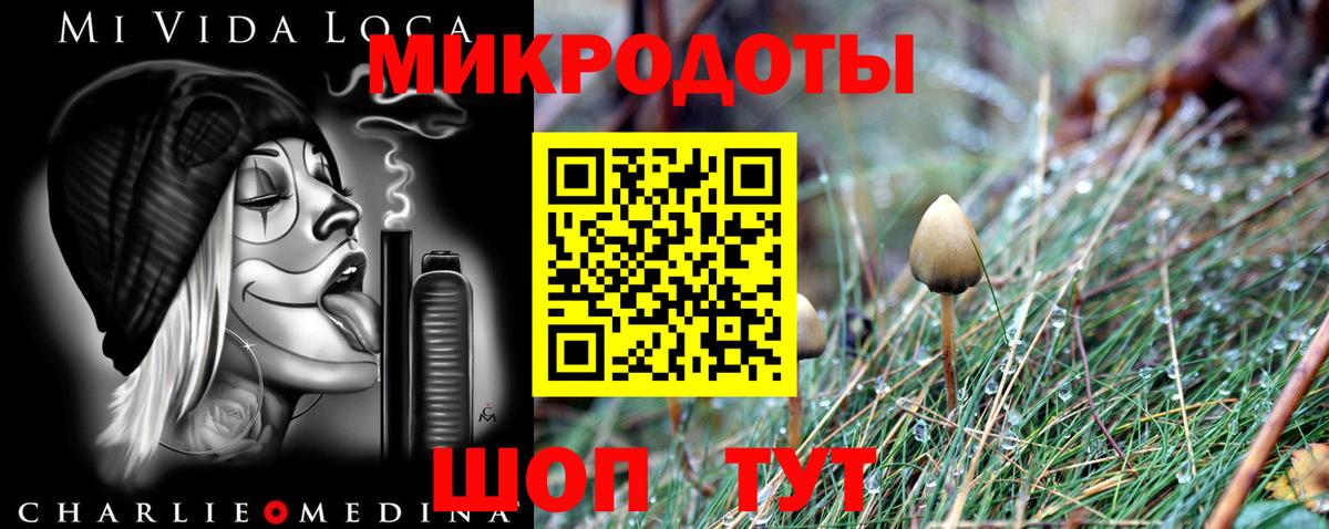 Галлюциногенные грибы прущие грибы  Вход с VPN  Тавда 